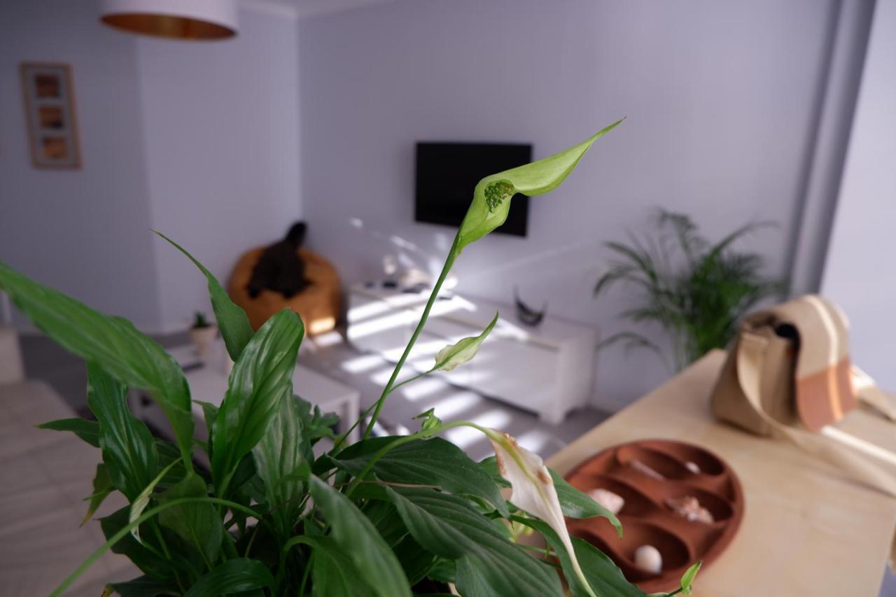 Apartamento Baleia Lejlighed Costa de Caparica Eksteriør billede